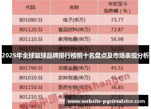 2025年全球篮球品牌排行榜前十名盘点及市场表现分析