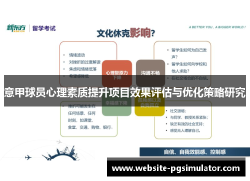 意甲球员心理素质提升项目效果评估与优化策略研究