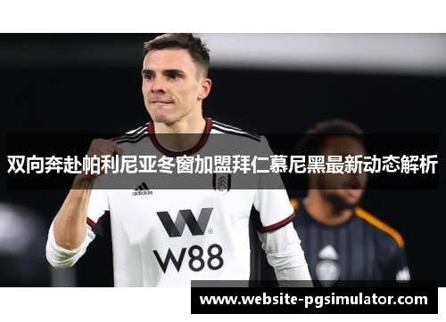 双向奔赴帕利尼亚冬窗加盟拜仁慕尼黑最新动态解析