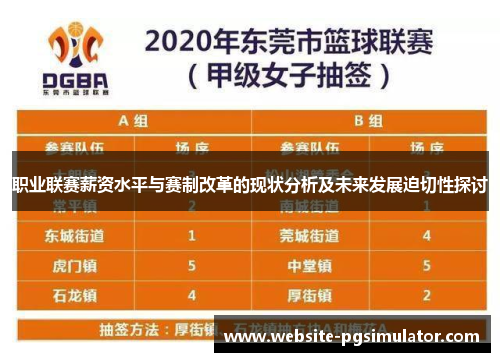 职业联赛薪资水平与赛制改革的现状分析及未来发展迫切性探讨