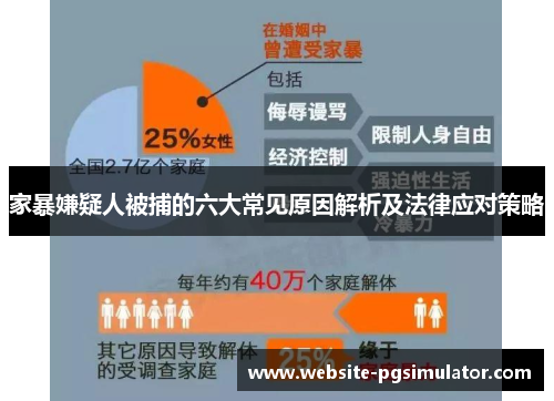 家暴嫌疑人被捕的六大常见原因解析及法律应对策略