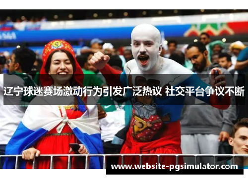 辽宁球迷赛场激动行为引发广泛热议 社交平台争议不断